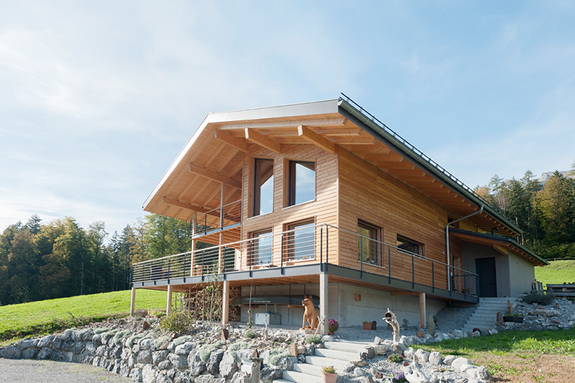 Einfamilienhaus Ming, Hofstetten