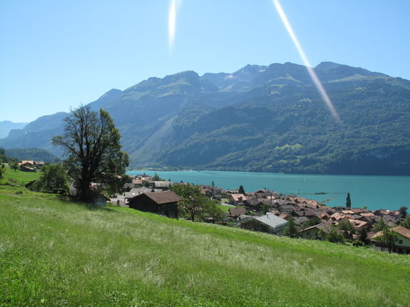 Neubau Mehrfamilienhaus, Brienz Neubau Mehrfamilienhaus, Brienz