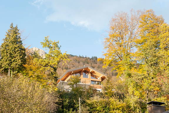 Einfamilienhaus Siegrist, Brienz