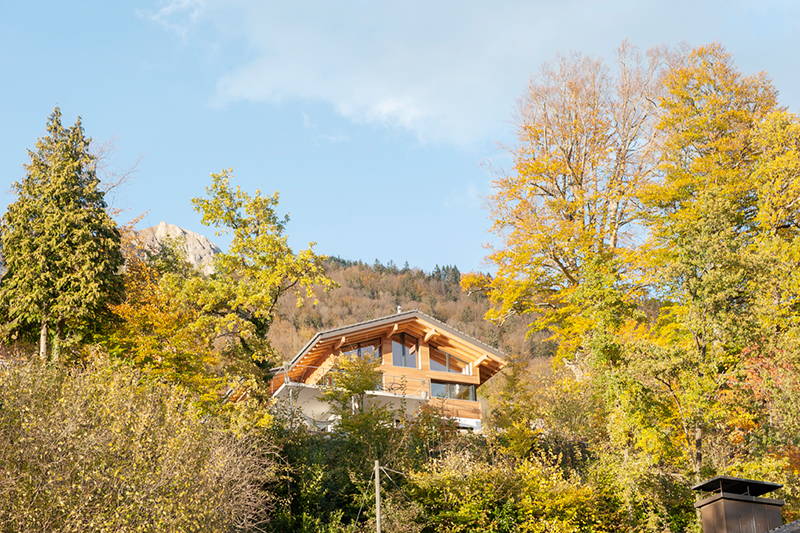 Einfamilienhaus Siegrist, Brienz